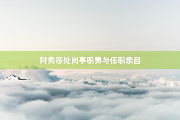 财务惩处岗亭职责与任职条目
